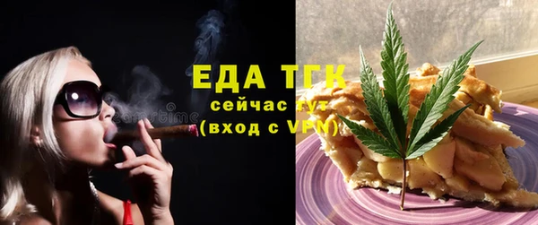 индика Бронницы