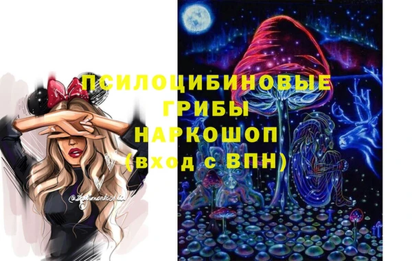 индика Бронницы