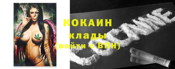 амф Богданович