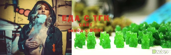 индика Бронницы