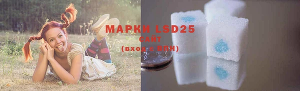 индика Бронницы