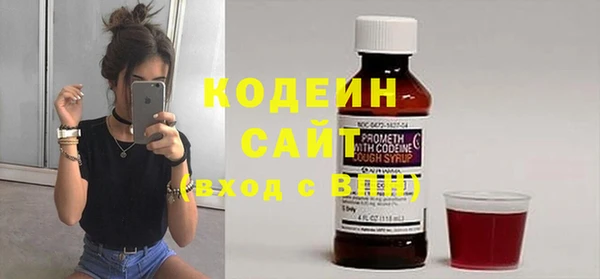 индика Бронницы