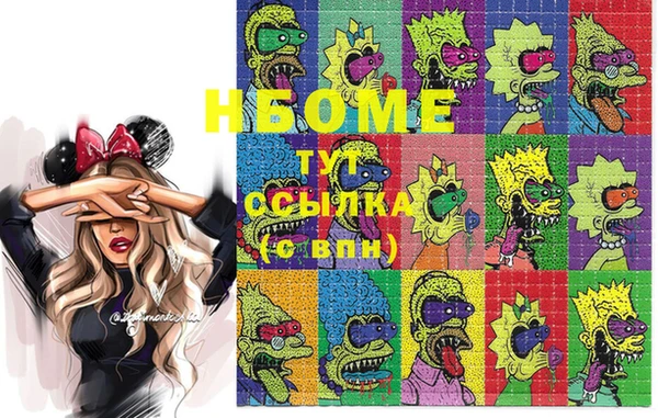 индика Бронницы