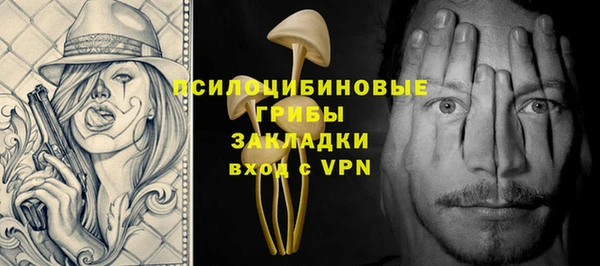 2c-b Богородицк